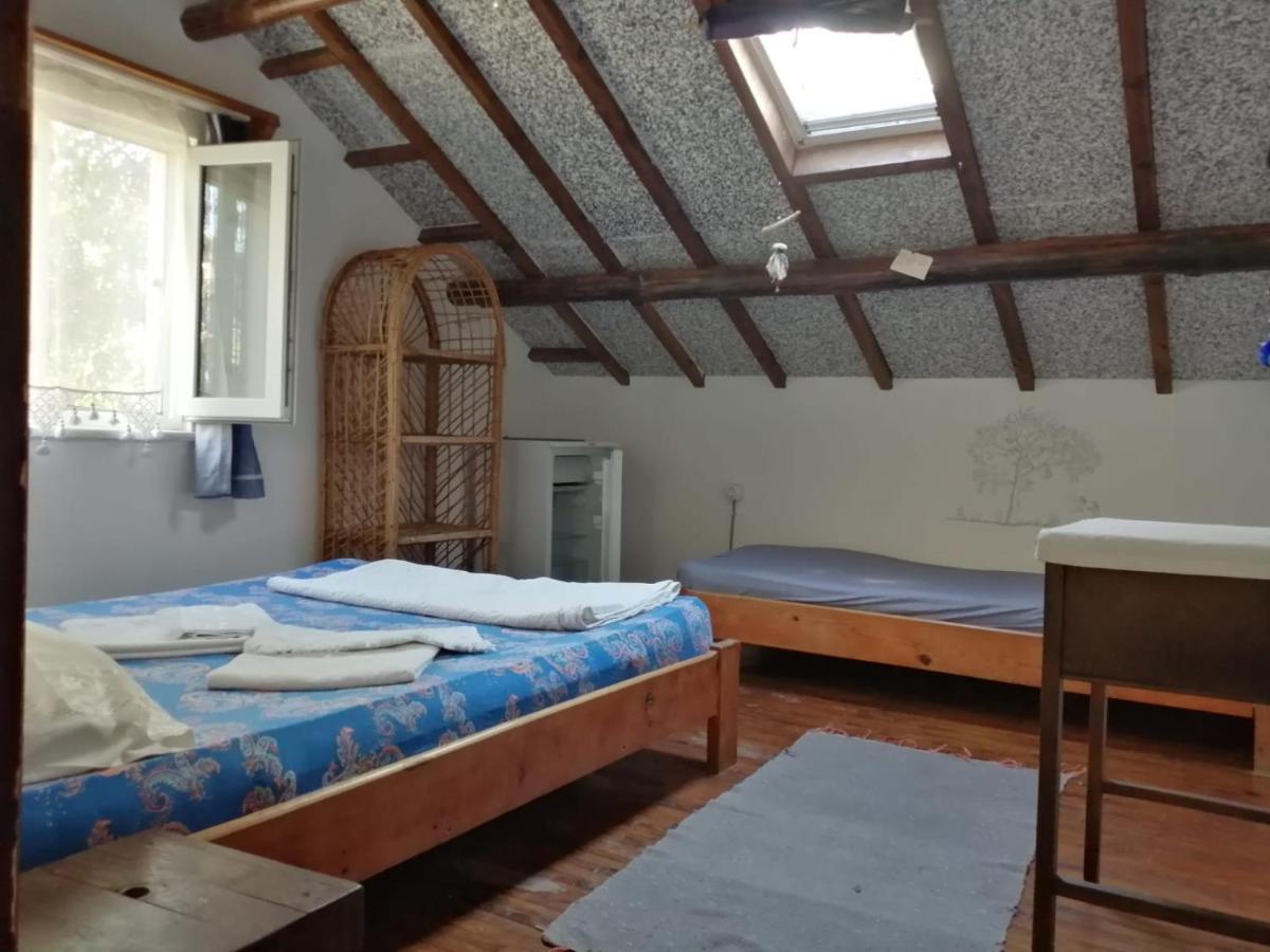 Ecer Pansiyon Kuşadası Dış mekan fotoğraf