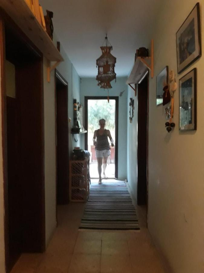 Ecer Pansiyon Kuşadası Dış mekan fotoğraf