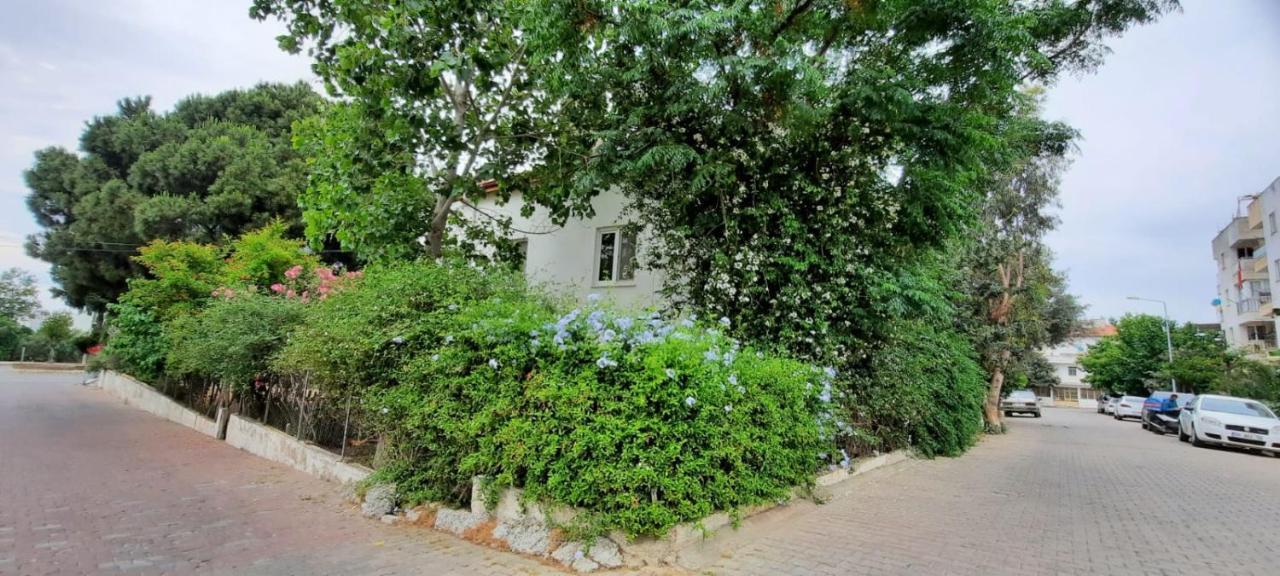 Ecer Pansiyon Kuşadası Dış mekan fotoğraf