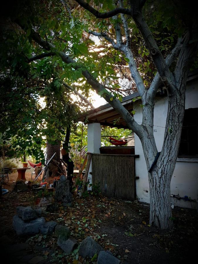 Ecer Pansiyon Kuşadası Dış mekan fotoğraf